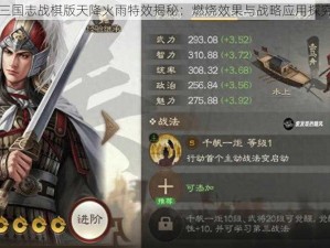 三国志战棋版天降火雨特效揭秘：燃烧效果与战略应用探究