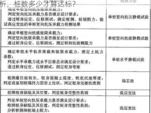 雾神打桩合格标准：深度、密度与均匀度综合分析，桩数多少才算达标？