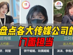 红桃视频国产传媒—红桃视频国产传媒：揭秘成人内容背后的产业链