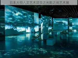 日本大但人文艺术项目之光影之间艺术展