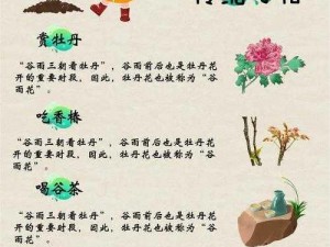 谷雨节气后天气变化：蚂蚁庄园带你探索自然气候的奥秘