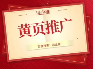 黄页网络的推广——高效、精准、全面的网络营销服务平台