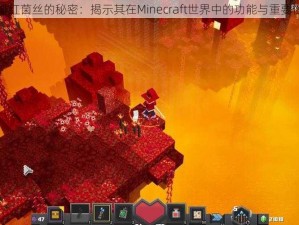 绯红菌丝的秘密：揭示其在Minecraft世界中的功能与重要性