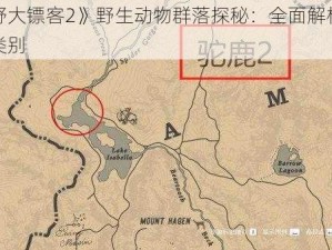 《荒野大镖客2》野生动物群落探秘：全面解析游戏动物类别