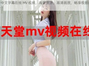 最新中文字幕在线 MV 视频，海量资源，高清画质，畅享极致视听体验