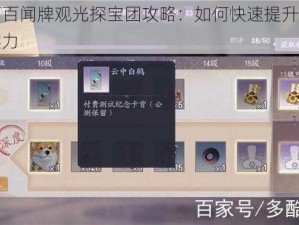 阴阳师百闻牌观光探宝团攻略：如何快速提升团队等级与实力