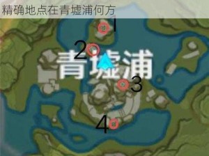 原神青墟浦岩印记位置揭秘，详解岩印记精确地点在青墟浦何方