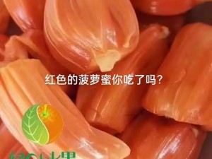 菠萝蜜视频官网，带你领略不一样的视界