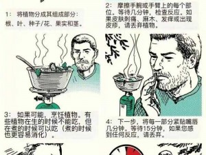 末日来临前的生存准备：储物箱中的生存秘籍