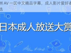 亚洲 AV 一区中文精品字幕，成人影片爱好者的首选