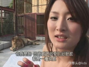 竹内纱里奈 88AV 在线观看，带你领略不一样的视觉盛宴