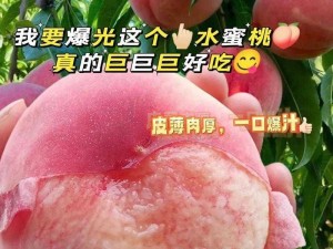 XXX 水蜜桃，个大味甜，香气浓郁，营养丰富