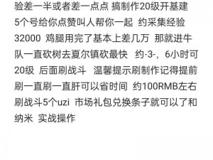 明日之后玩家指南：深度攻略与技巧分享，进阶大佬不是梦的个人玩法心得