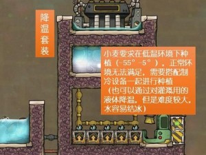 缺氧环境小麦种植策略详解：应对策略与实施方案介绍