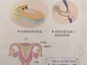 欲乱的学校的青春性教育产品