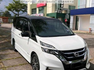 国产日产 mpv，大空间、高性价比，商务家用两不误