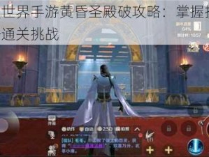 完美世界手游黄昏圣殿破攻略：掌握技巧，轻松通关挑战