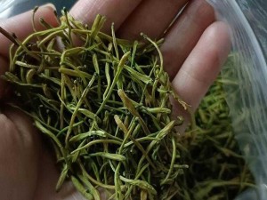 小和尚金银花原文免费，一款清热解毒的茶饮品