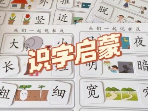 识字大师追求大嫂的全方位攻略答案揭秘：从初识到深情厚意的攻略宝典