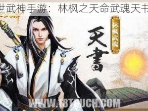 《绝世武神手游：林枫之天命武魂天书详解》