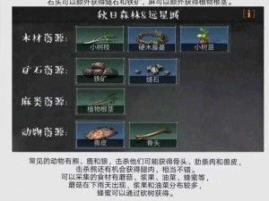 明日之后新手攻略：轻松完成指定任务实操指南