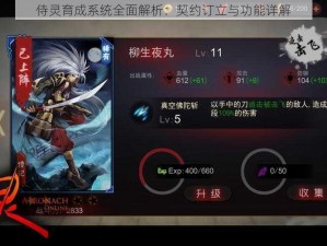 侍灵育成系统全面解析：契约订立与功能详解