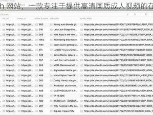 好的 h 网站，一款专注于提供高清画质成人视频的在线平台