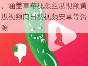 免费无广告的视频播放软件，涵盖草莓视频丝瓜视频黄瓜视频向日葵视频安卓等资源