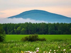 野花免费视频无码免费播放，海量高清资源，满足你的视觉享受