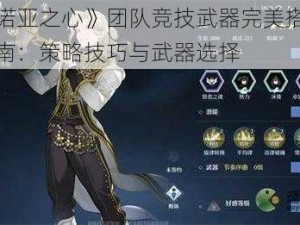 《诺亚之心》团队竞技武器完美搭配指南：策略技巧与武器选择