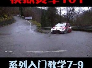 尘埃4生涯模式拉力赛道跑法深度解析：策略、技巧与心得分享