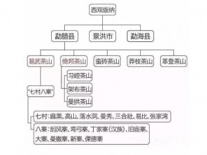 97 精产国品一二三产区，每一区都有其独特的特点和优势