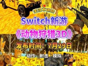 关于狩猎地区3D安装及配置详解指南