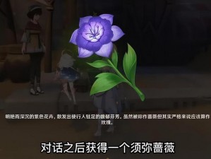 原神独家攻略：献给某人的蔷薇秘境探险之旅，探寻神秘花海之秘