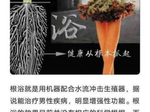 教授的根茎上写句子，这是什么操作？