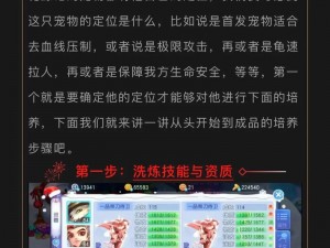 桃花源记手游老虎实战解析与技能加点攻略全解析