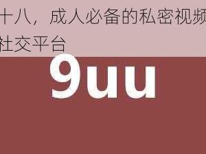 9UU 有你有我足矣已满十八，成人必备的私密视频社交平台