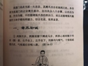 江湖铁掌帮功法详解：内功修炼与基础招式攻略大全