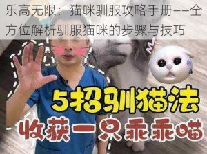 乐高无限：猫咪驯服攻略手册——全方位解析驯服猫咪的步骤与技巧