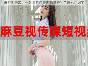 麻豆视传媒，一款拥有海量视频资源的免费影视 APP