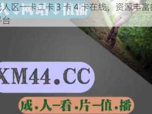 国产无人区一卡二卡 3 卡 4 卡在线，资源丰富的视频分享平台