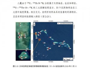 珊瑚岛机翻及影响分析