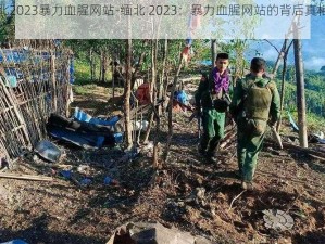 缅北2023暴力血腥网站-缅北 2023：暴力血腥网站的背后真相是什么？