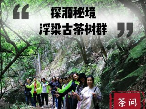 轮回茶肆探秘：体验古老茶道的轮回之旅，究竟好玩与否？