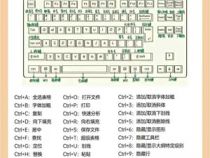 电脑初学者操作指南：如何掌握基础操作及选择合适的模式