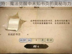 哈利波特：魔法觉醒中未知书页的奥秘与力量探索