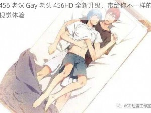 456 老㲼 Gay 老头 456HD 全新升级，带给你不一样的视觉体验