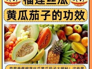 富二代的别样生活：麻豆榴莲茄子草莓丝瓜的精彩故事