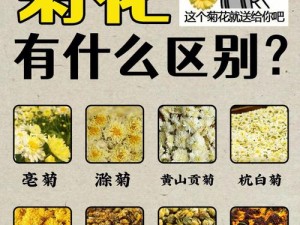 震惊儿媳的菊花为何惨遭玩弄？