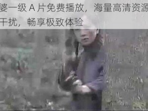 老太婆一级 A 片免费播放，海量高清资源，无广告干扰，畅享极致体验